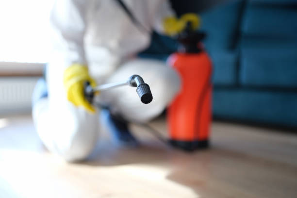 Mold Remediation for Vacation Homes in Grafton, ND