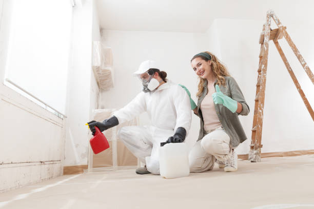 Best Emergency Mold Remediation  in Grafton, ND