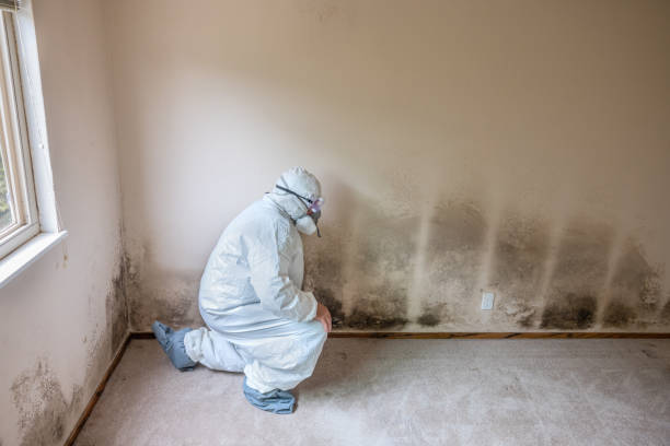 Best HVAC Mold Inspection and Cleaning  in Grafton, ND